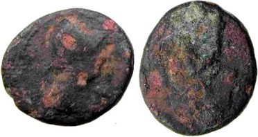 ������: 273-4019