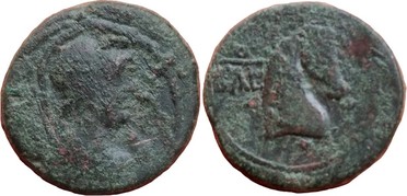 ������: 273-4019