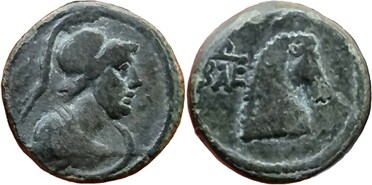 ������: 273-4019