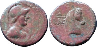 ������: 273-4019