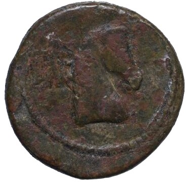 ������: 273-4019