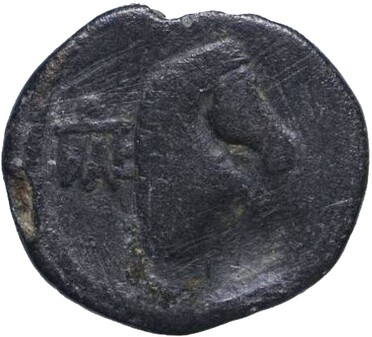 ������: 273-4019