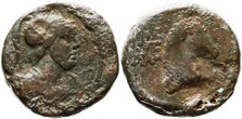 ������: 273-4019