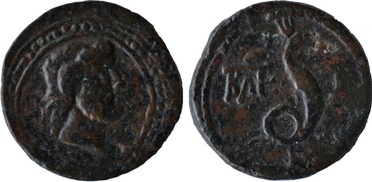 ������: 274-4004