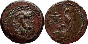 ������: 274-4004