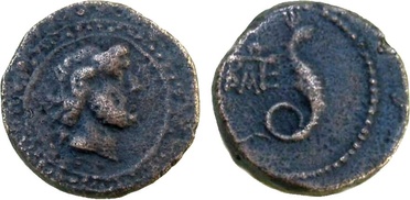 ������: 274-4004