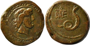 ������: 274-4004