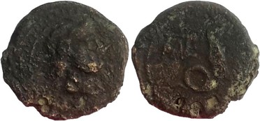 ������: 274-4004