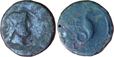 ������: 274-4004