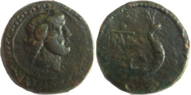 ������: 274-4004