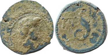 ������: 274-4004