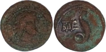 ������: 274-4004