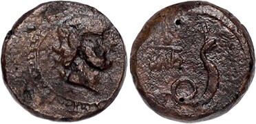 ������: 274-4004