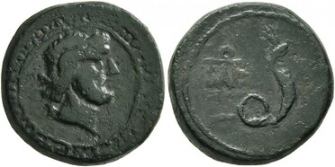 ������: 274-4004