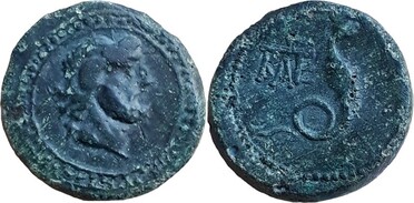 ������: 274-4004