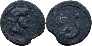 ������: 274-4004