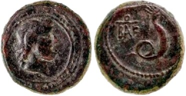 ������: 274-4004