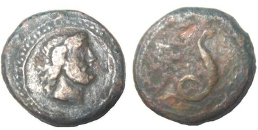 ������: 274-4004