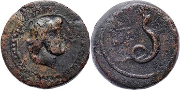 ������: 274-4004