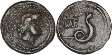 ������: 274-4004