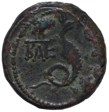 ������: 274-4004