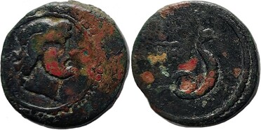 ������: 274-4004