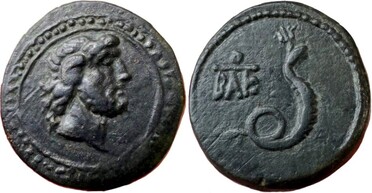 ������: 274-4004