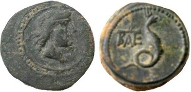 ������: 274-4004