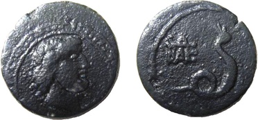 ������: 274-4004