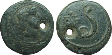 ������: 274-4004