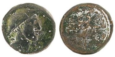 ������: 277-4019