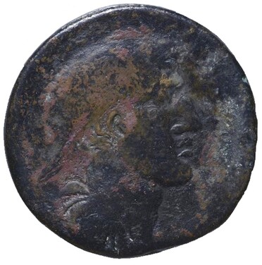 ������: 277-4019