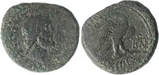 ������: 278-4706