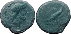 ������: 278-4706