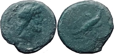 ������: 278-4706
