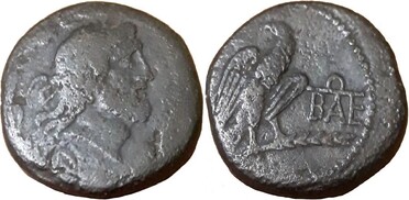 ������: 278-4706
