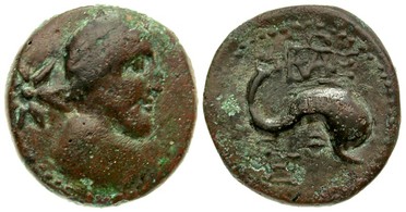 ������: 279-4022