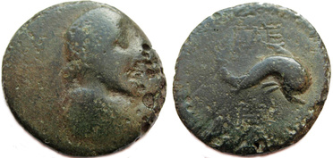 ������: 279-4022