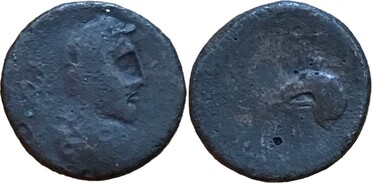 ������: 279-4022