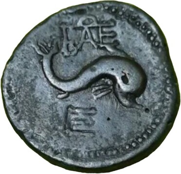 ������: 279-4022