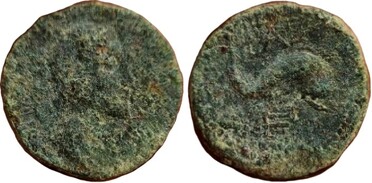 ������: 279-4022