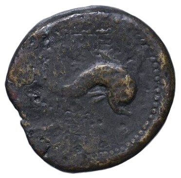 ������: 279-4022