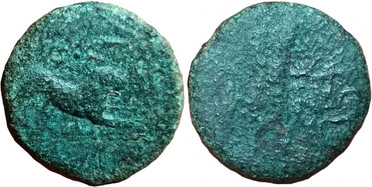 ������: 281-4021