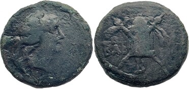 ������: 282-4013