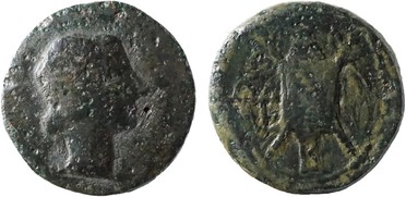 ������: 282-4013