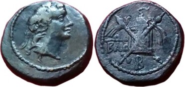 ������: 282-4013