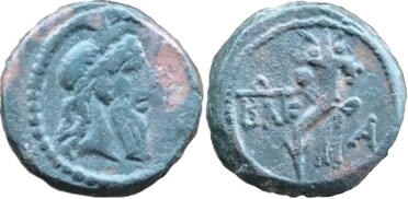 ������: 283-4017