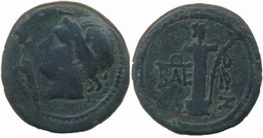 ������: 286-4014