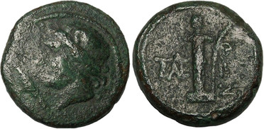 ������: 286-4014