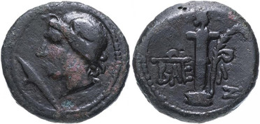 ������: 286-4014